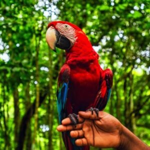 1 Woche Mietwagen Rundreise Dominikanische Republik