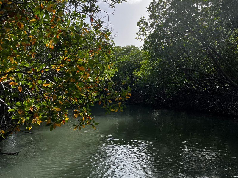 1 Woche Mietwagen Rundreise Dominikanische Republik